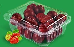 Food Fruits Meat Vegetables Disposable Packaging Plastic Blister Packing Container