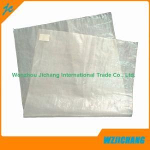 Transparent PP Woven Sacks