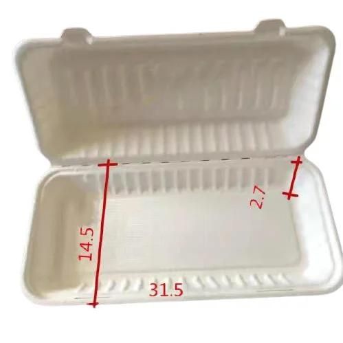 Wholesales Biodegradable Rectangle Food Packaging for BBQ Food