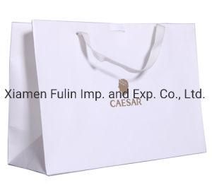 Luxury Shopping Paper Bag with Logo for Clothing Packaging