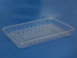 Plastic Thin Tray Thermoforming Companies