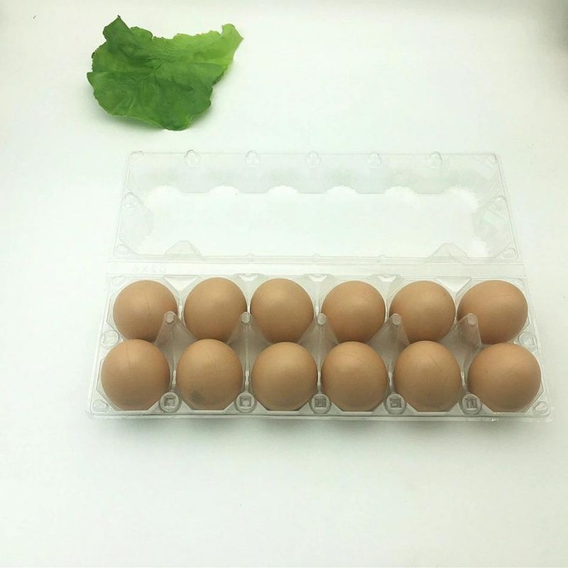 Pet Disposable Plastic Egg Tray Packaging