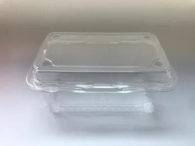 High quality disposable food grade fruit blister packaging plastic clamshell