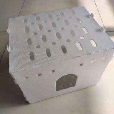 White PP Hollow Coreflute Corrugated Plastic Vegetable Fresh Keeping Box