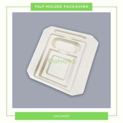 Customized Disposable Sugarcane Bagasse Pulp Molded Lamp Tray