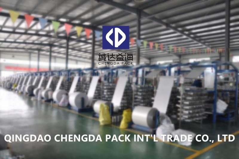 Plastic PP Bags/Woven PP Jumbo Bag/FIBC Bulk Bag/China PP Bags