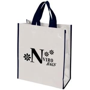 Promotional PP Laminated Shopping Non Woven Bag (YH-PWB053)