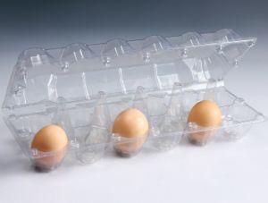 Various Styles Clear Transparent Disposable Plastic Packaging Inner Egg Tray