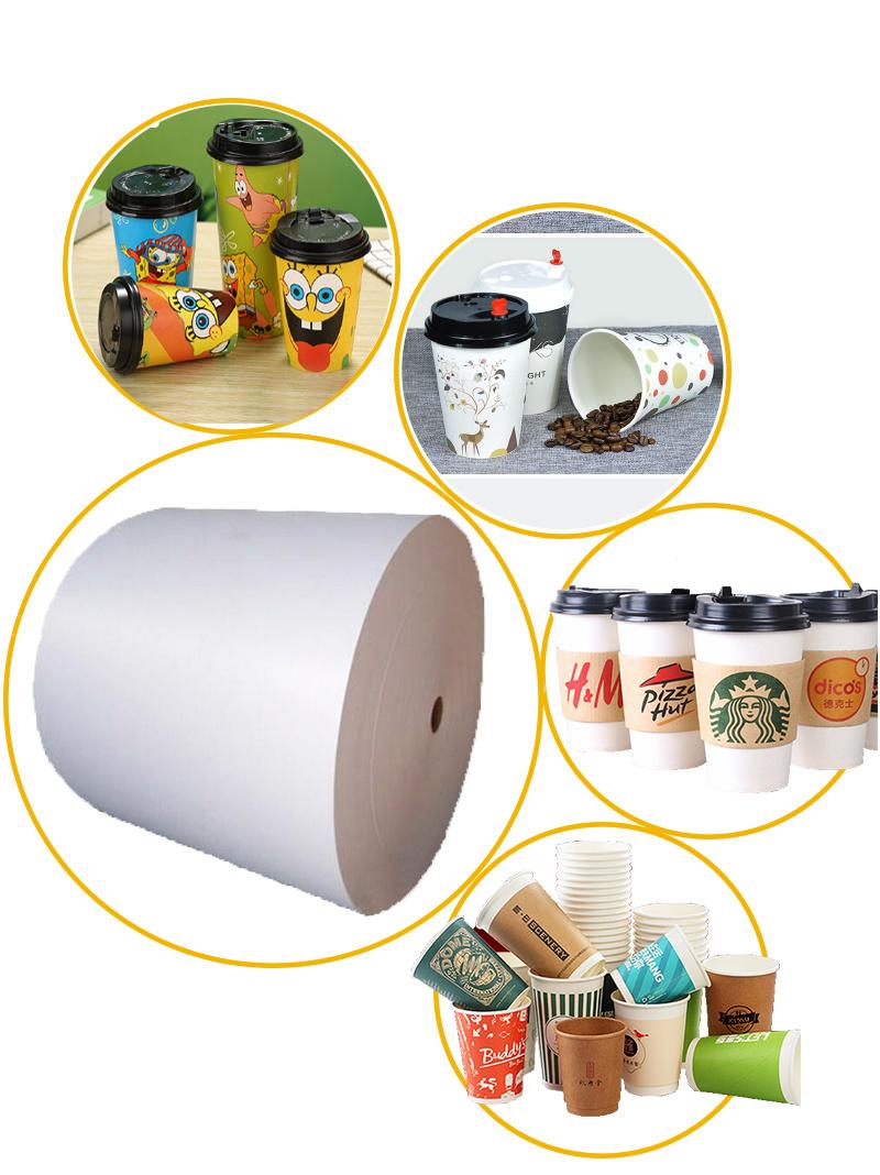 Hot Sale PE Coated Cup Paper