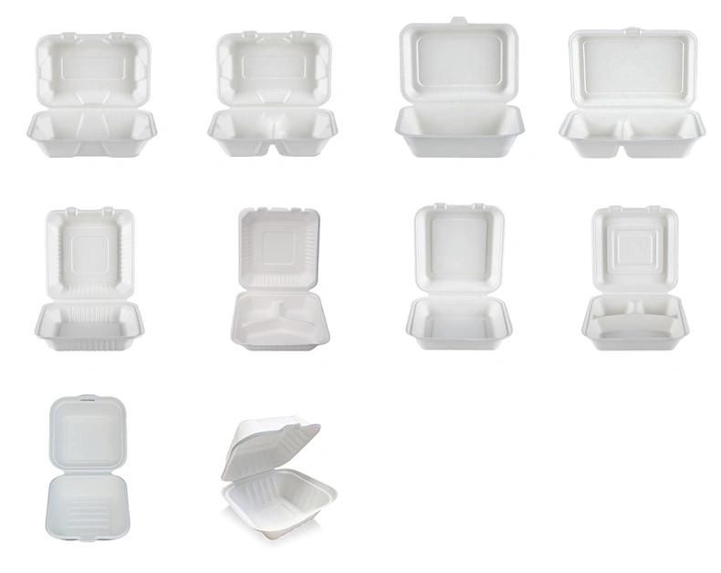 Disposable Biodegradable Compostable Eco Friendly Sugarcane Bagasse Food Packaging