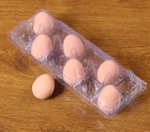 Plastic Package Poultry 12 Cell Eggs Cartons Transparent Box