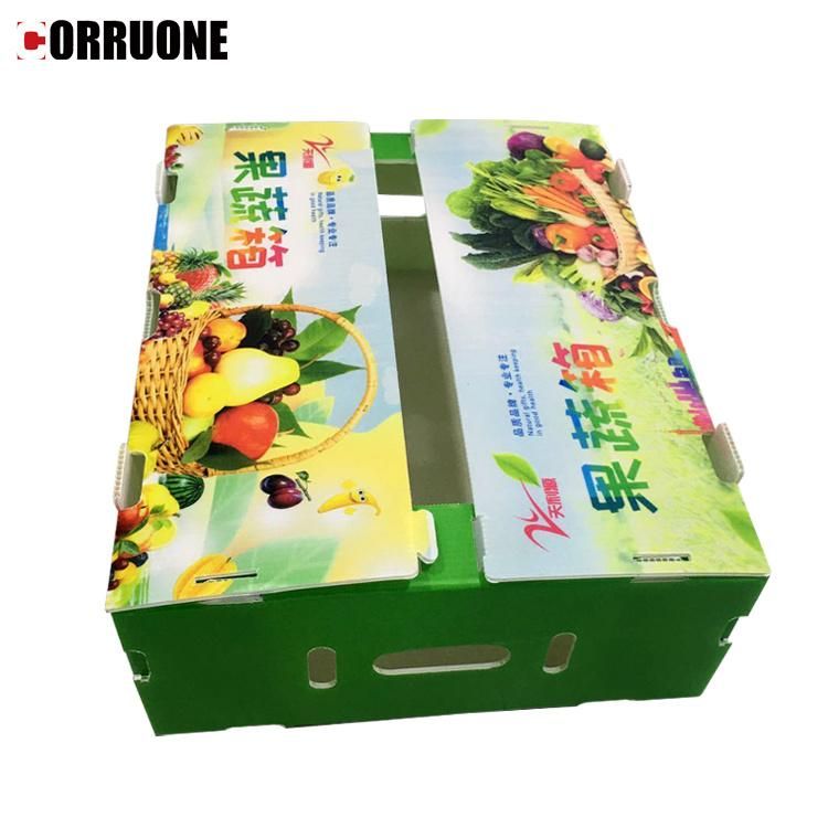 Corrugated Plastic Box for Vegetable and Fruit Boxes for Seafood Boxes of Correx Boxes and Coroplast Box