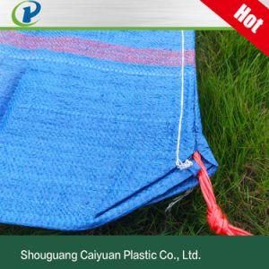 Dapoly White Yellow Green Blue 50kgs Fertilizer Flour Rice Feed Packing Sack PP Woven Bag