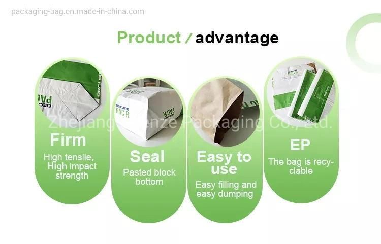 Trustworthy China 25kg PP Woven Kraft Paper Cement Bag Supplier