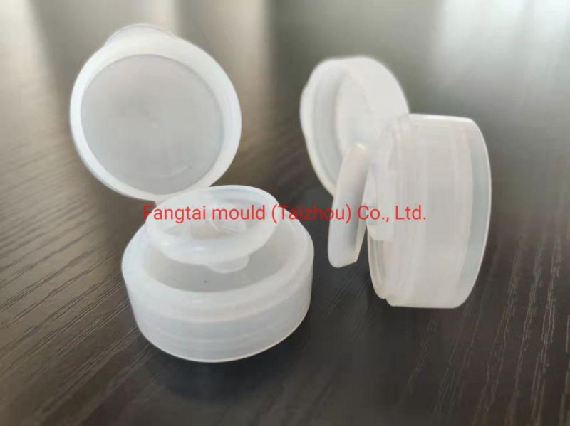 China Manufacturer Flip Top Cap