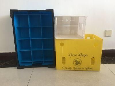 Weather-Resistant Plastic Corrugated PP Hollow Cold-Chain Packaging Storage Box