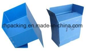 Four Open Box/Recyclable Polypropylene Corflute Fruit Box Folding Box 4mm 5mm