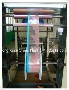 Plastic Grip Seal Bag