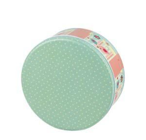 Fresh Green Korean Style Blue Biscuit Tin Box