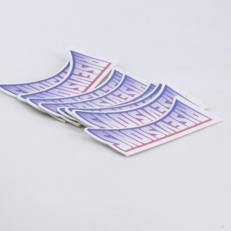 Custom Print Heteromorphic Paper Sticker