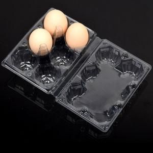 Plastic Container Egg Packaging