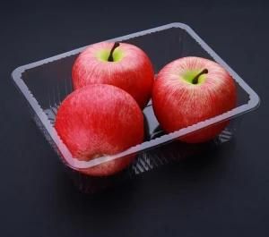 Transparent Box Clear Plastic Case Fruits Container Packaging Box Biodegradable Pet PVC PP