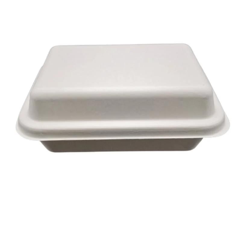 Biodegradable Food Grade to-Go Containers Storage Bento Box with Lid