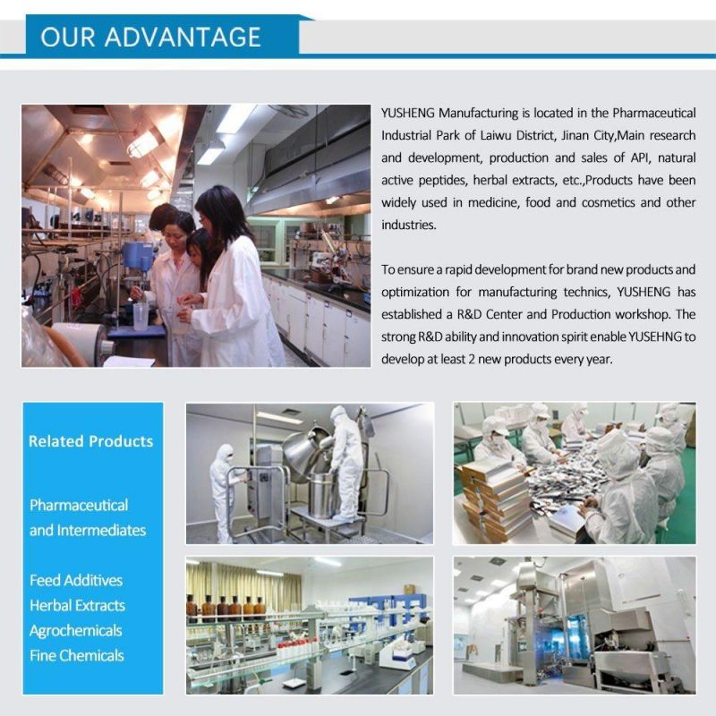 China Factory Supply 99% Purity Raw Steroids Powder Testosterone Enanthate Bodybuilding Hormone