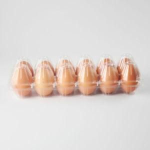 Pet PVC Disposable Plastic Package Container Egg Tray with 12/15/30 Holes