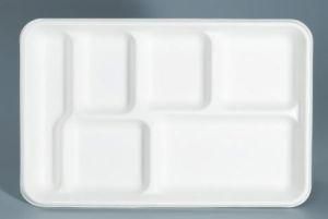 6-Compartment Tray_Paper Dishware