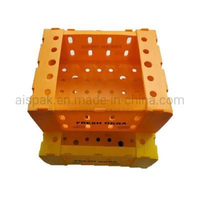 PP Corrugated Plastic Coroplast Correx Corflute Cartons