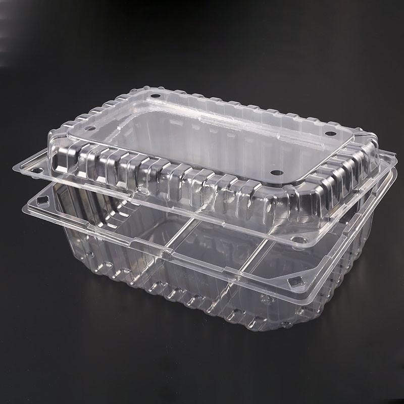 Eco-friendly Health Clear Plastic PET Blister Disposable Food Packaging Container Box for fruit