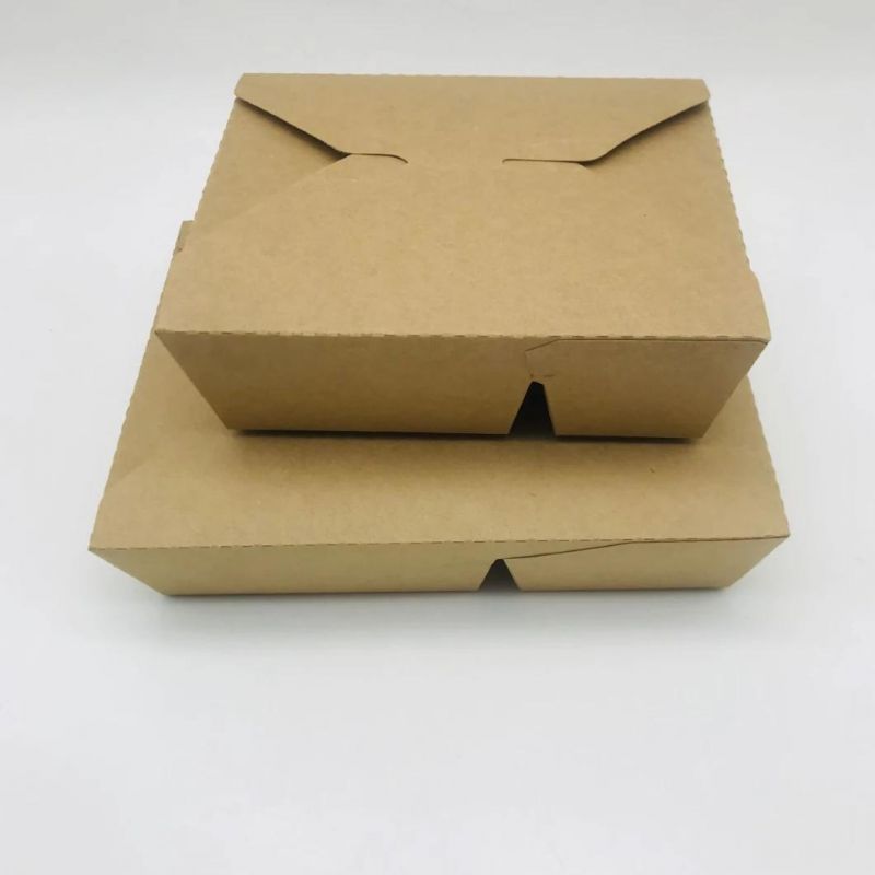 Biodegradable Kraft Paper Box