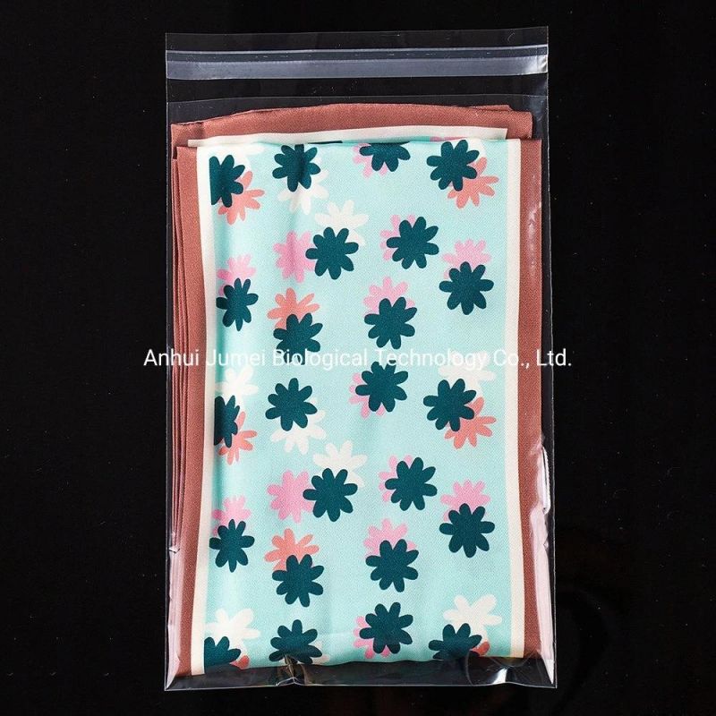 Biodegradable Garment Bags PLA Pbat Compostable Garment Packaging Bags