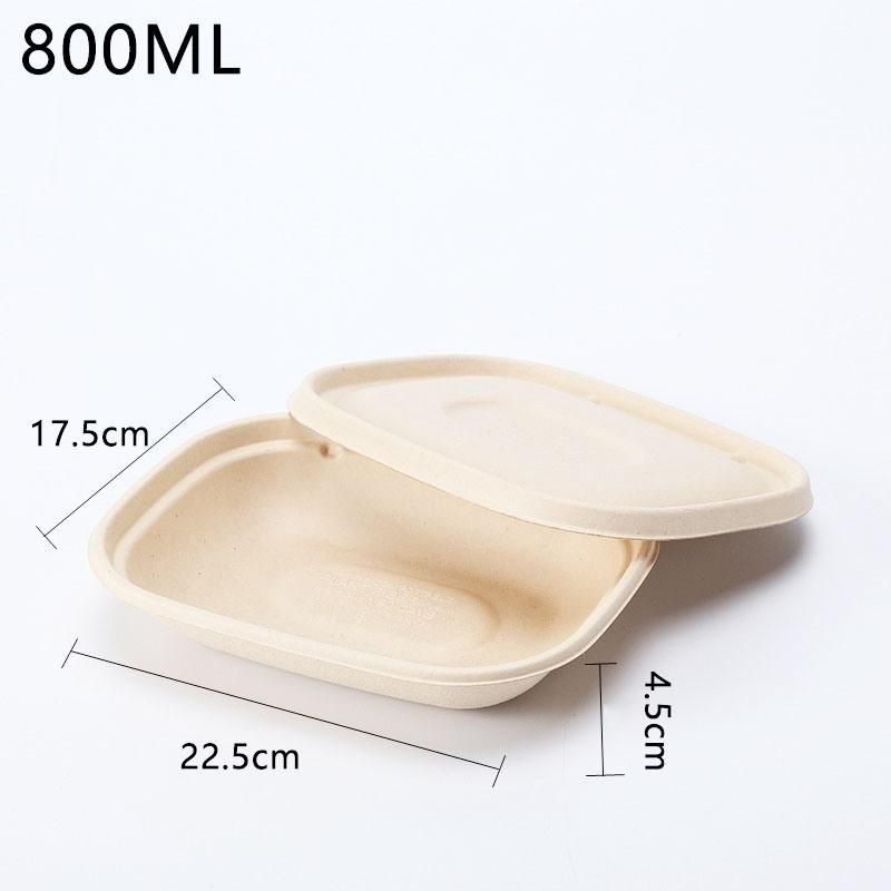 Biodegradable Take Away 800ml Menu Boxes Single Compartment