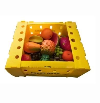 Plastic Fluted Polypropylene Box for Fruit Vegetable Packing