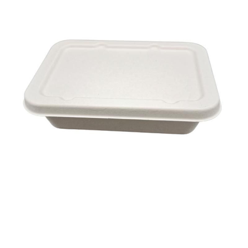 Restaurant Compostable Take out Box Disposable Containers with Lids