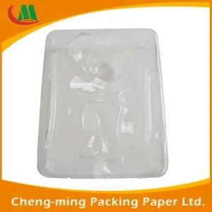 Disposable Biodegradable Bagasse 5 Compartment Lunch Tray
