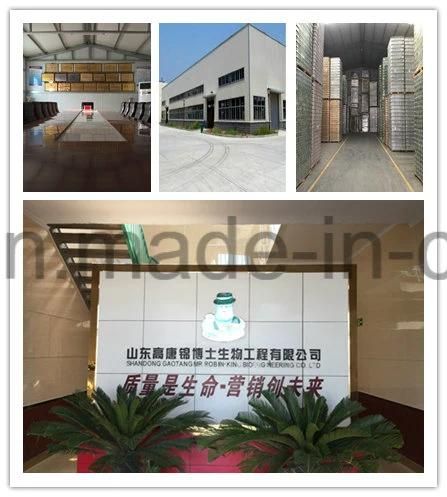 Low MOQ Custom Aluminum Cans Manufacturing for Exporting