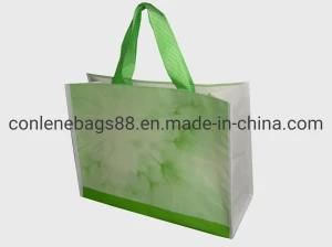 Promotional Cheapest New Materal PP Woven Bag for Shopping