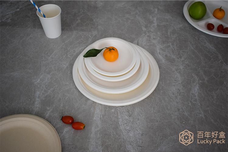 Biodegradable Compostable Eco Friendly Disposable Sugarcane Bagasse Plate