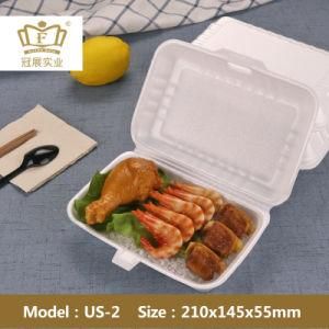 Us-2 Foam Lunch Box
