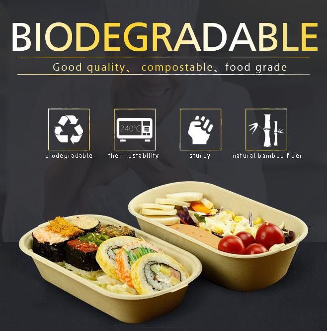 Disposable Food Container Packaging Box Biodegradable Paper/Packing/Storage/Packaging/Lunch Box Sugarcane Bagase 850ml 1000ml