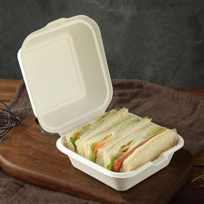 Biodegradable Sugarcane Clamshell Paper Box for Hamburger Cake Sandwich Lunch