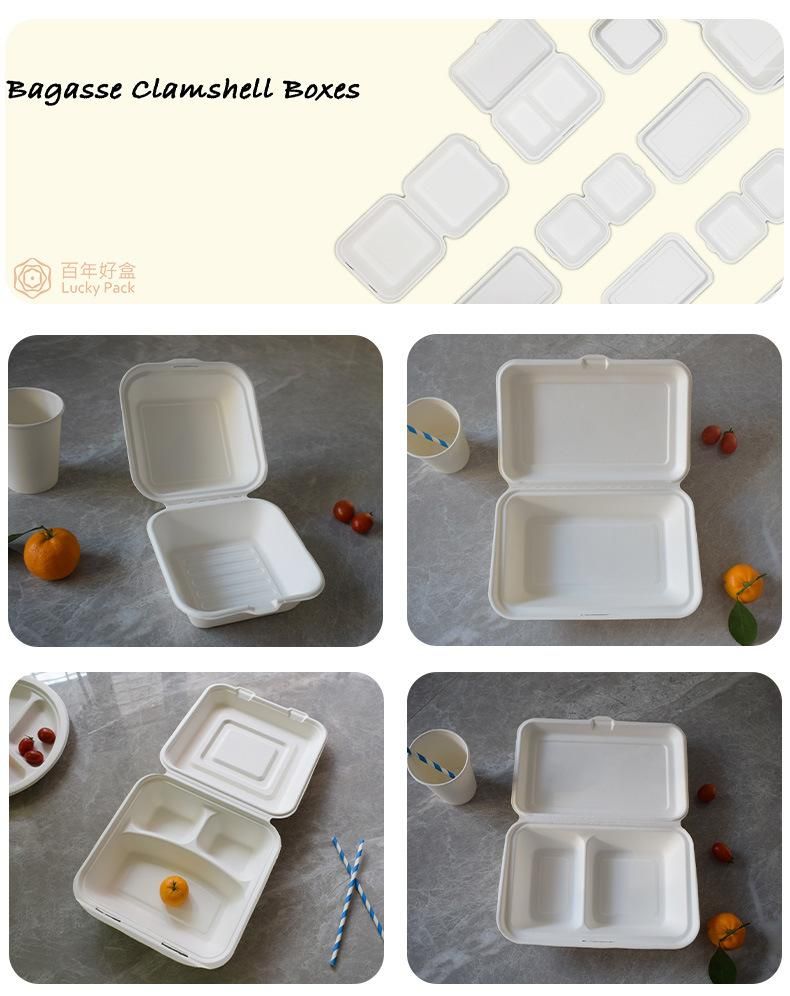 Compostable Disposable Biodegradable Eco Friendly Sugarcane Bagasse Food Container