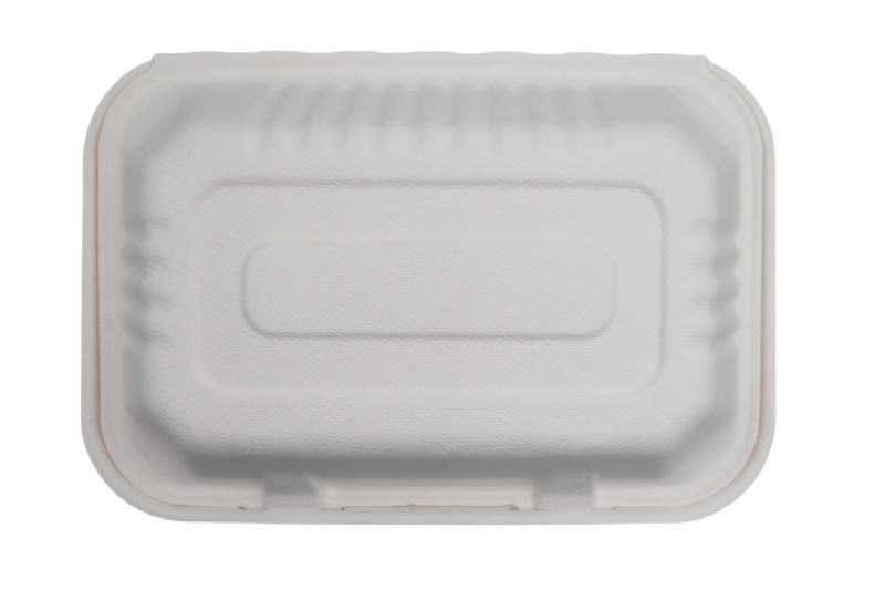 Hot Selling Bagasse Food Packaging Box 9 X 6 Inch