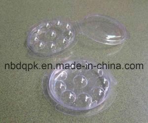 Custom Plastic Clamshell Plastic Blister (#C05)