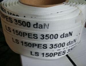 Hot Sale Heavy Duty Lashing Strap Cord Strap Factory in Dongguan China