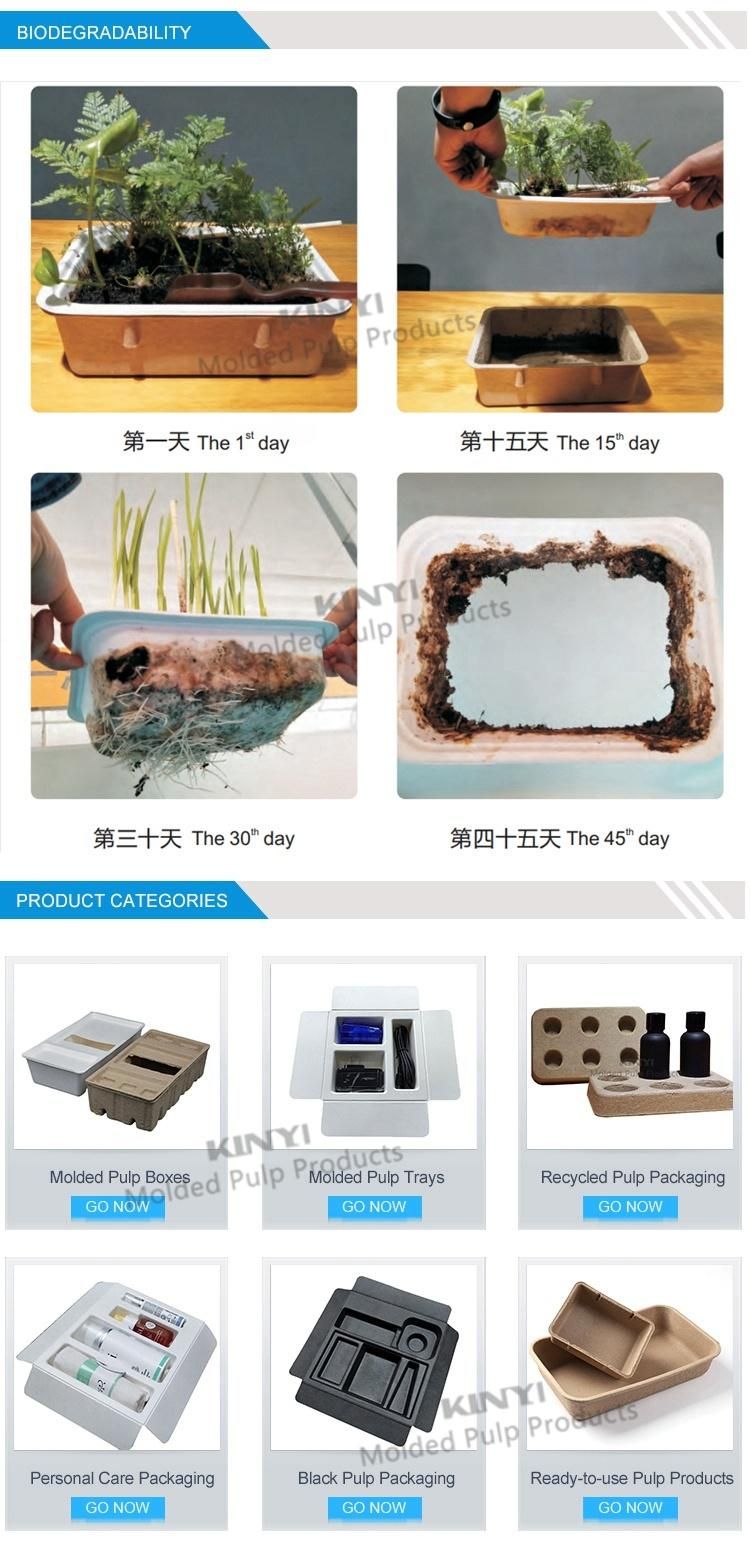 Recyclable Biodegradable Custom Molded Paper Pulp Packaging Box Tray