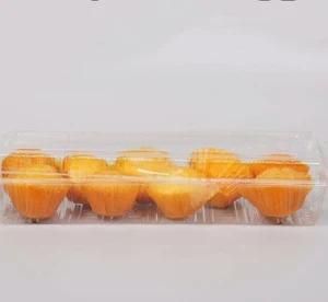 Disposable Plastic Pet Rectangle Clear Fast Food Cake Container
